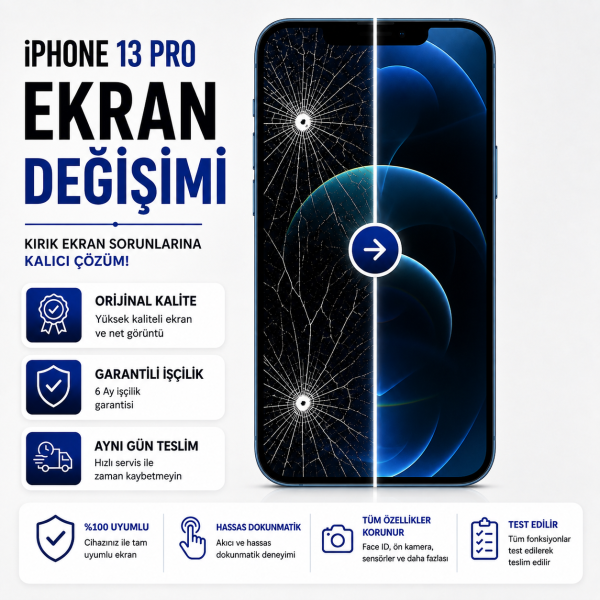 13pro